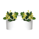 thumbnail image 1 of 2 Plantas Sintéticas Artificial verde Maceta Decorativo Interiores casa, 1 of 1