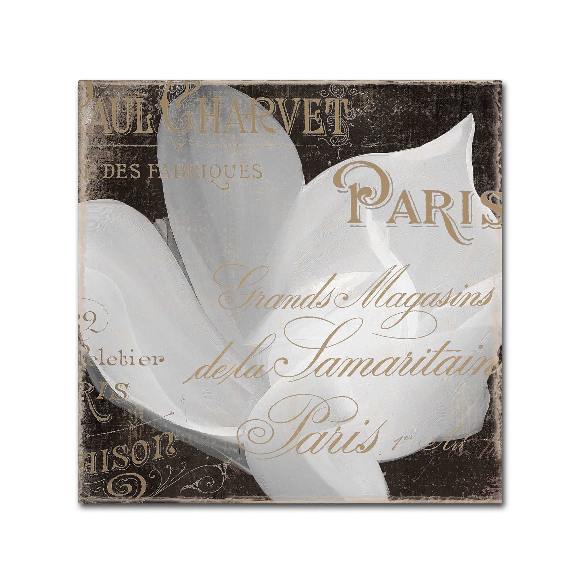 Trademark Fine Art "Fleurs Blanc II" Canvas Art by Color Bakery