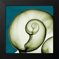 thumbnail image 2 of Koetsier, Albert 12x12 Black Modern Framed Museum Art Print Titled - Moon Snail, 2 of 5