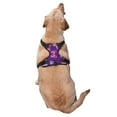 thumbnail image 2 of Vsdgher Bright Butterflies Pattern Dog Harness,No Pull Pet Harness with Soft Padded Handle,Adjustable Reflective Vest with 2 Buckles,4 Slide Buckles,S-XL Large, 2 of 4