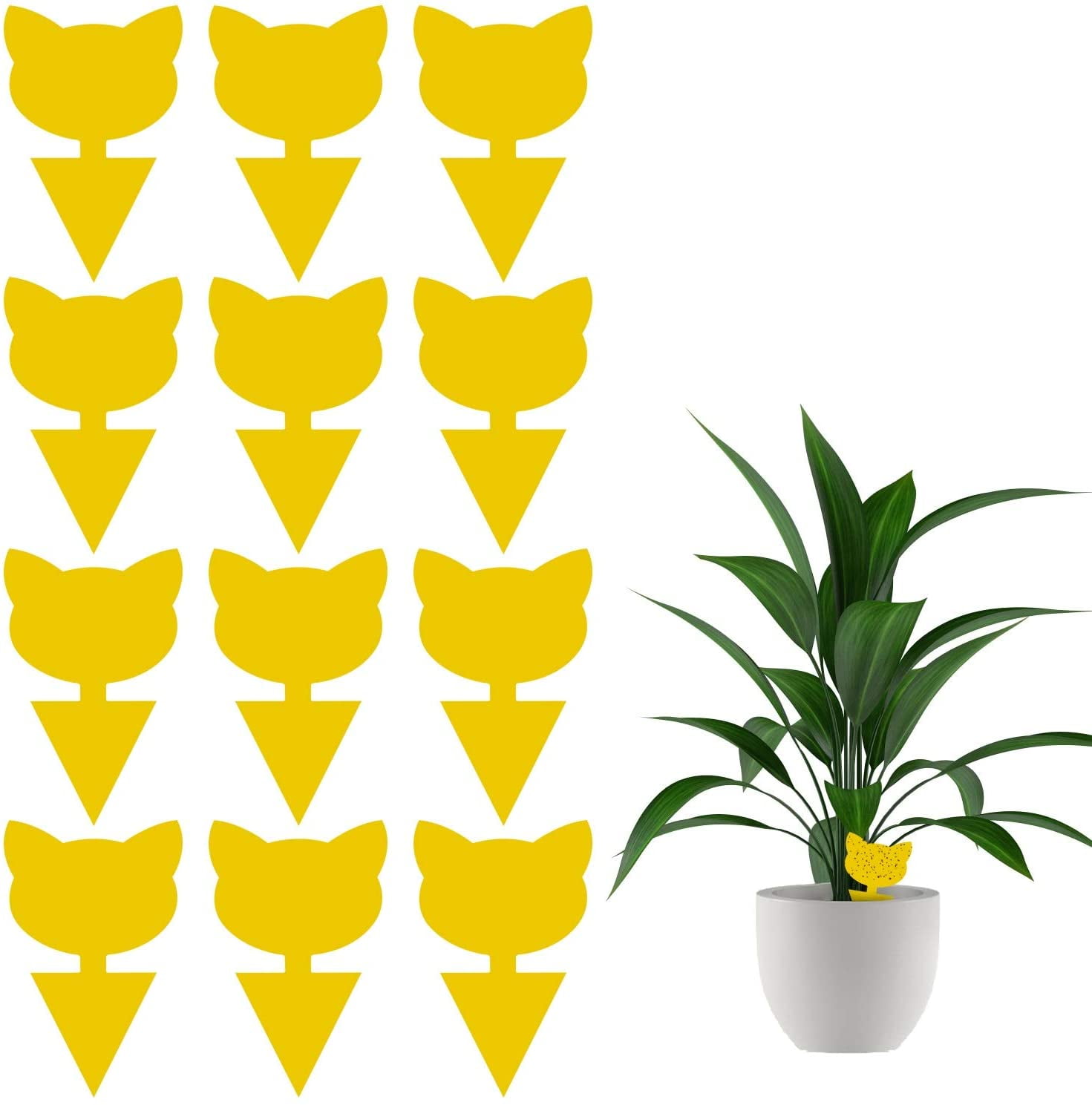 Fruit Fly And Fungus Gnat Trap Killer Indoor And Outdoor Protect The Plant Non Toxic And Odorless Cat Shape Walmart Com Walmart Com