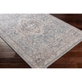 thumbnail image 5 of Amore Light Blue 8'10" x 13' Traditional Rectangle Area Rug, 5 of 6