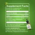 thumbnail image 5 of Benevolent Nourishment Liquid Chlorophyll Drops Herbal Supplement, Natural Mint, 2 fl oz, 5 of 9
