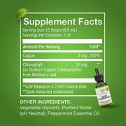 Benevolent Nourishment Liquid Chlorophyll Drops Herbal Supplement, Natural Mint, 2 fl oz