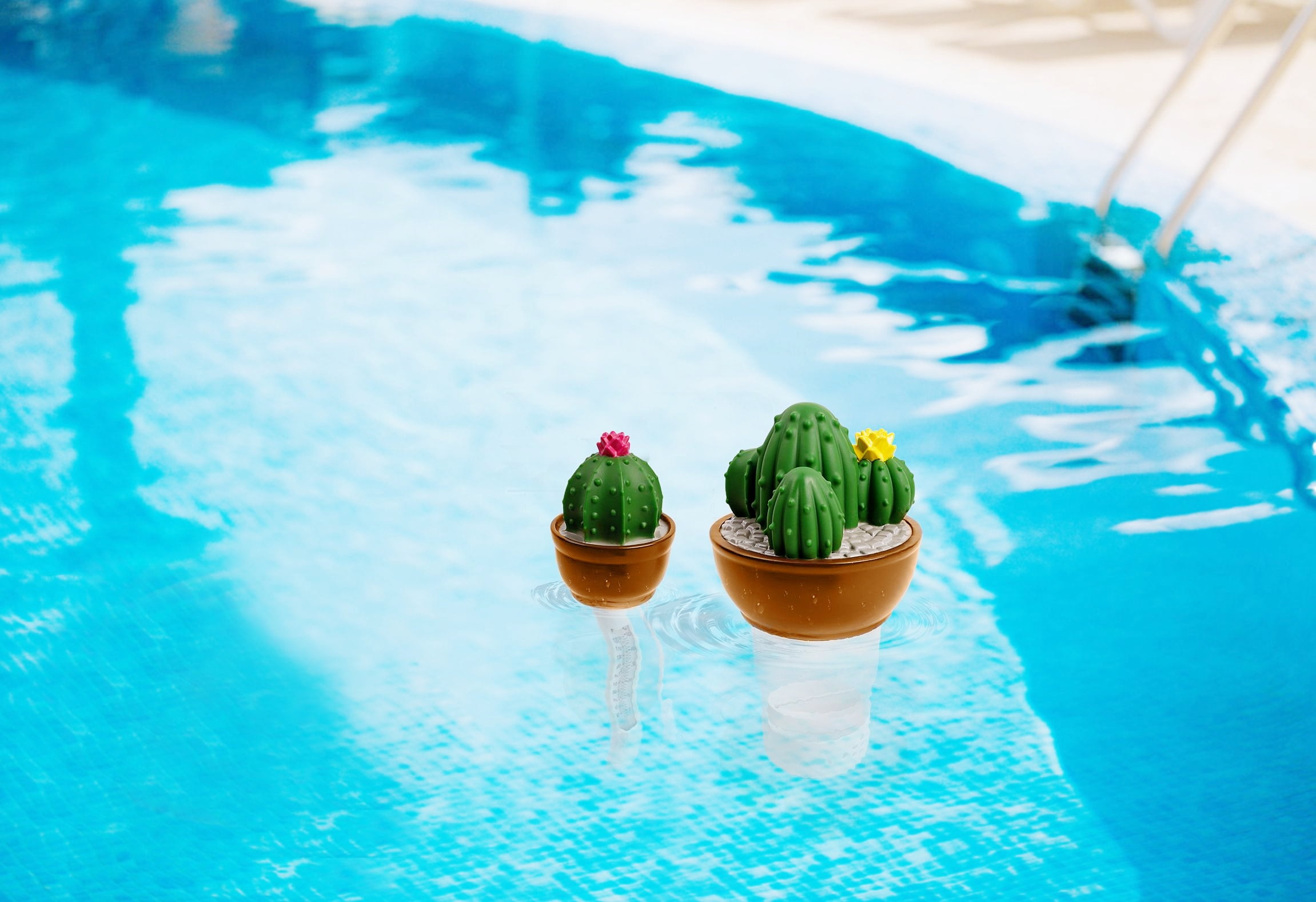 Mainstay - Brandclub - Mainstays Cactus Pool Chlorine Floater & Pool  Thermometer Set,Fits Chlorine Tablets,Release Adjustable for inground &  Above-ground swimming pools hot tub spa