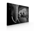 thumbnail image 1 of Cuadro Decorativo Para Sala Comedor Recamara Elefantes, 1 of 5