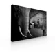 thumbnail image 1 of Cuadro Decorativo Para Sala Comedor Recamara Elefantes, 1 of 5