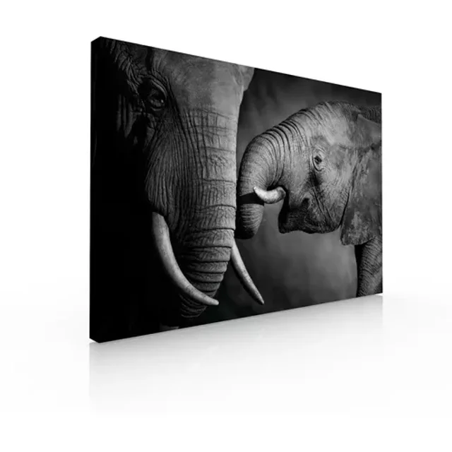 Cuadro Decorativo Para Sala Comedor Recamara Elefantes