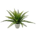 thumbnail image 1 of Mainstays 11.5in Indoor Artificial Plant in Pot, Green Color Fern, 1 of 5