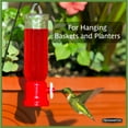 thumbnail image 6 of Pennington, Mini Red, Hummingbird Feeder with Hangar, 2 Pack, 6 of 10