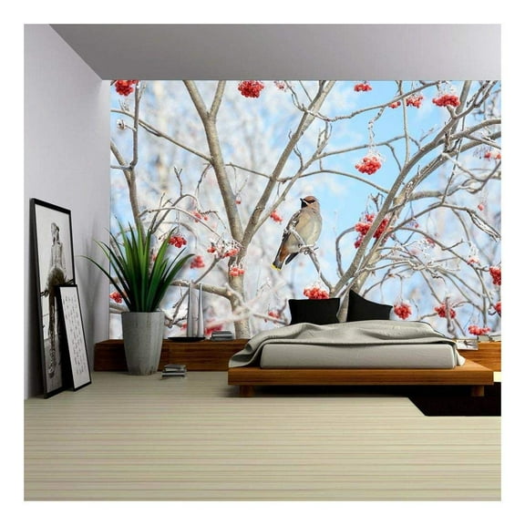 wall26 - Bird Waxwing Sitting Among The Rowan in The Frost - Removable Wall Mural | Self-Adhesive Large Wallpaper - 100x144 inches