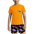 thumbnail image 2 of ZOYOEN Boys Rash Guard Swimsuits 2 Piece- Quick Dry Short Sleeve Kids Swim Trunks Swimwear Set Multicolor Size 3-4 Years, 2 of 9
