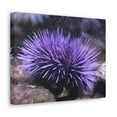 thumbnail image 2 of Funny Urchin Silly Urchin Scene Outside Wall Art Ready to Hang Unframed, 2 of 18