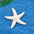 thumbnail image 5 of DVKOVI Mini Ocean Resin Animals Starfish Seashell Tiny Sea Models for Miniatures DIY Fish Tank Micro Landscaping E One Size, 5 of 5