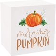 thumbnail image 3 of Morning Pumpkin White and Orange 3 x 3 Pine Wood Harvest Tabletop Plank Sign, 3 of 6