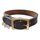 thumbnail image 1 of Urban Dog Collar Para Perro Liso 100% Piel Ch, G, Xg, 1 of 3