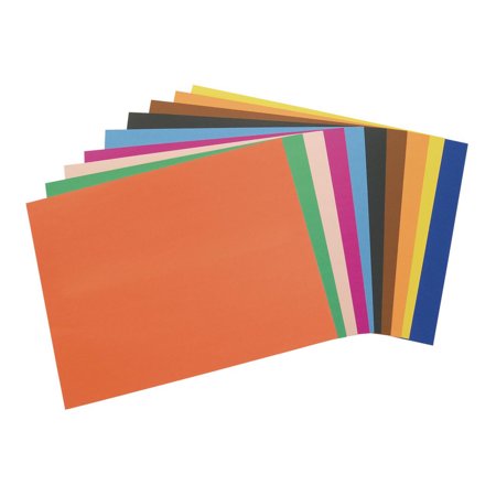 American Paper, Assorted Colors, Poster Board, 22" x 28", 100 Sheets, Double sided, Signs, Charts, Artwork, Kids crafts, Arts and Crafts, Art Supplies, Art Paper (Item # ARB)