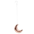 thumbnail image 6 of LOLIPPYY Rose Moon Disco Hanging Ornament with Glass Mirror for Party, Room, and Home Decoration, 6 of 8