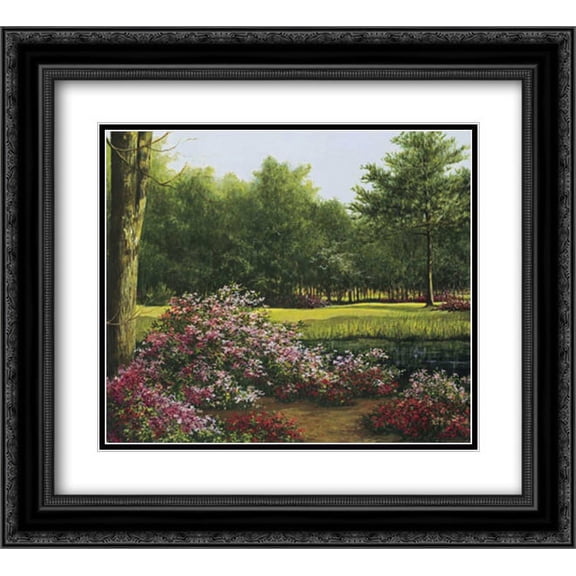 Azalea Park 2x Matted 22x20 Black Ornate Framed Art Print by Casey, Lene Alston