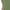 Army Green, variant on Leesechin Men's Tank Top Sleeveless Tee Round-Neck Summer Casual Tshirt