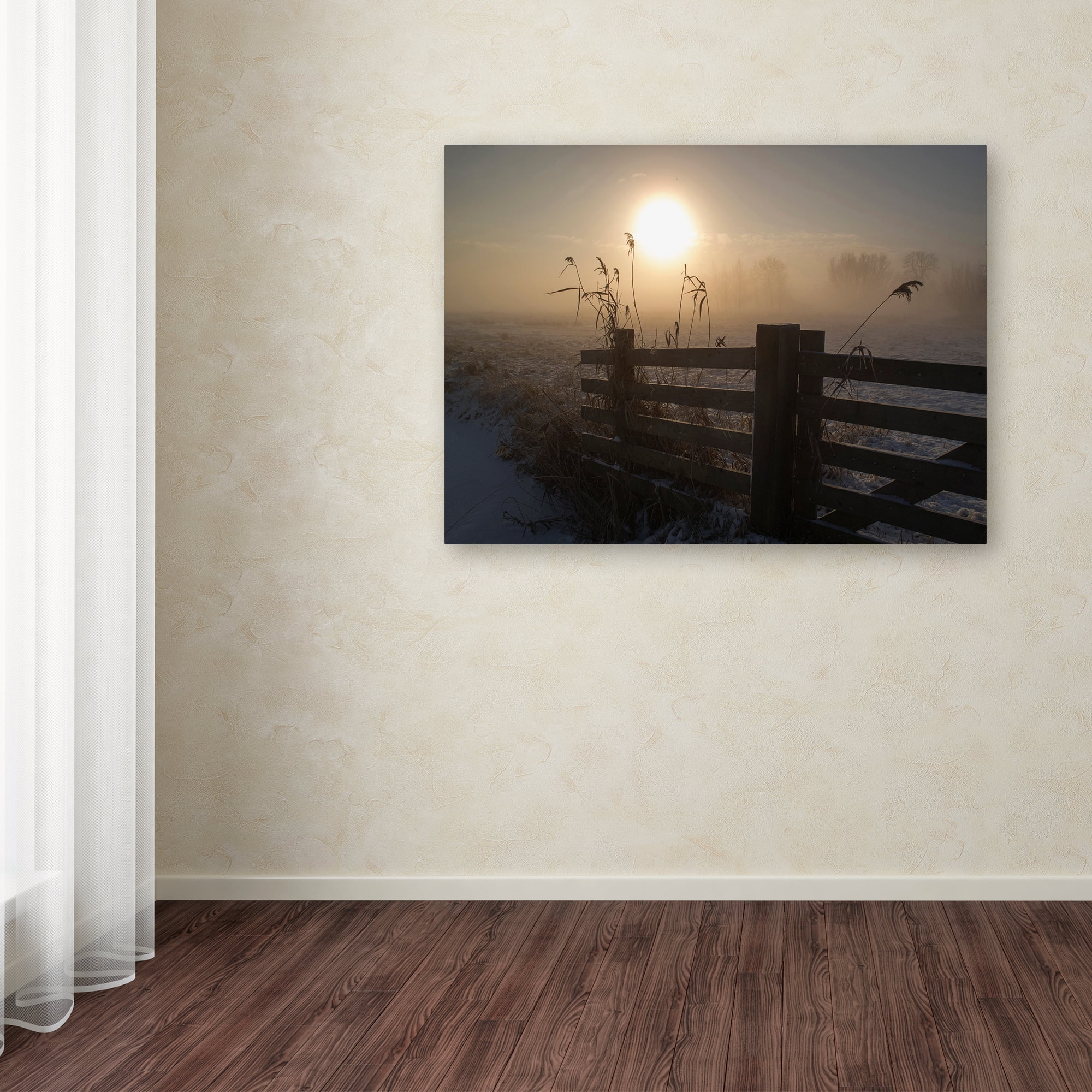 Trademark Fine Art 'Winter Mood' Canvas Art by Alida Van Zaane
