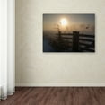 thumbnail image 3 of Trademark Fine Art 'Winter Mood' Canvas Art by Alida Van Zaane, 3 of 3