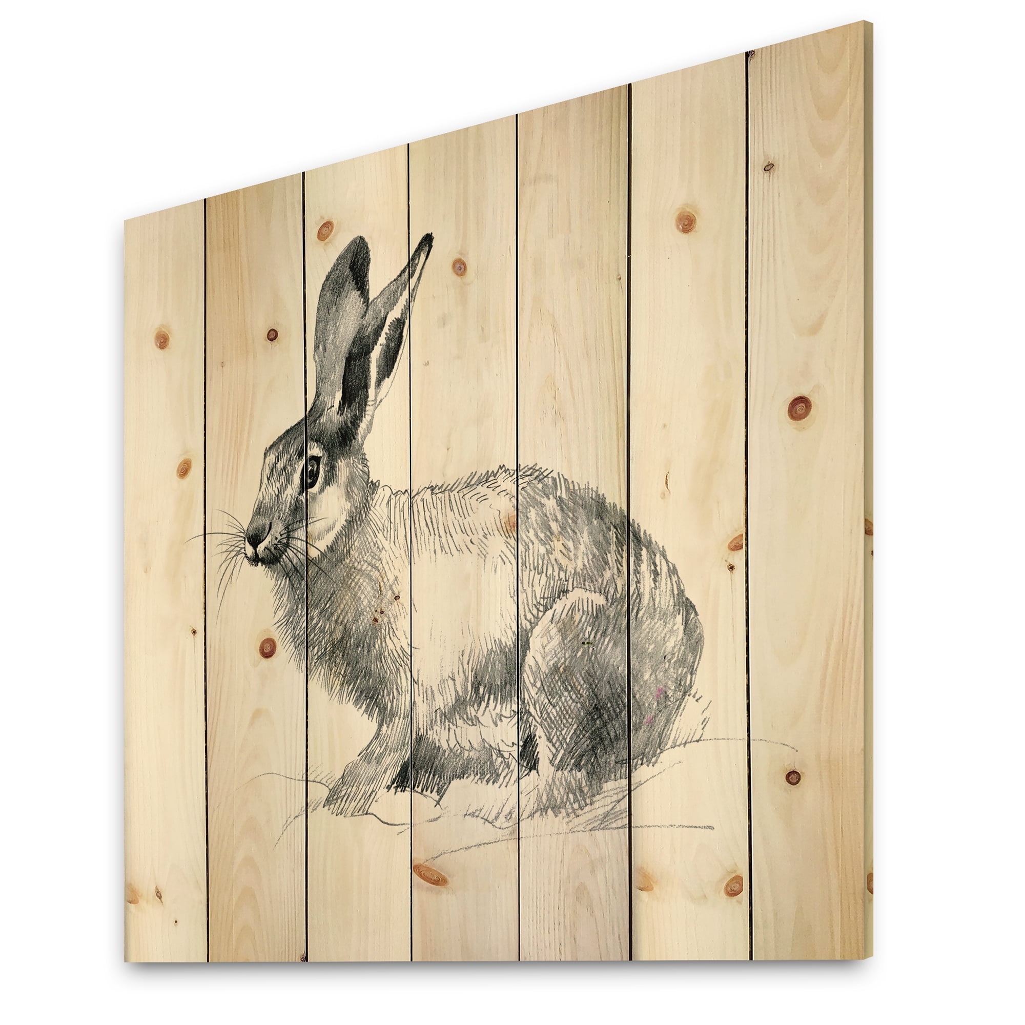 Designart 'Black and White Portrait Of Rabbit' Farmhouse Print on Natural Pine Wood