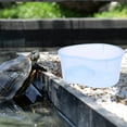 thumbnail image 3 of FELTECHELECTR Turtle Box with Translucent Design for Indoor Habitat 1Set, 3 of 5