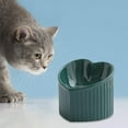 thumbnail image 6 of Ceramic Tilted Elevated Cat Bowl Heart Shape Porcelain Easily Wash Food Bowl Dark Green, 6 of 8