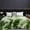 Multicolor/E, variant on LSLJS Throw Blanket & Comfortable Sofa - Blanket Warm Thicken Blankets Fuzzy for Sofa Bed Chair Travel Bedroom Living Room All Seasons 78.7x70.8"