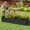 Black, variant on Uforic 8x4x1.5ft 1 Pack Galvanized Metal Raised Garden Bed Kit with Gloves, Safety Rubber and Support Rod, Green