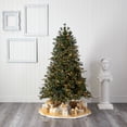 thumbnail image 6 of Nearly Natural Clear Prelit 250 LED Snowed Tipped Mixed Pine Artificial Christmas Tree, 6', 6 of 8
