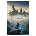thumbnail image 4 of Harry Potter : L'héritage de Poudlard - Key Art, 4 of 5