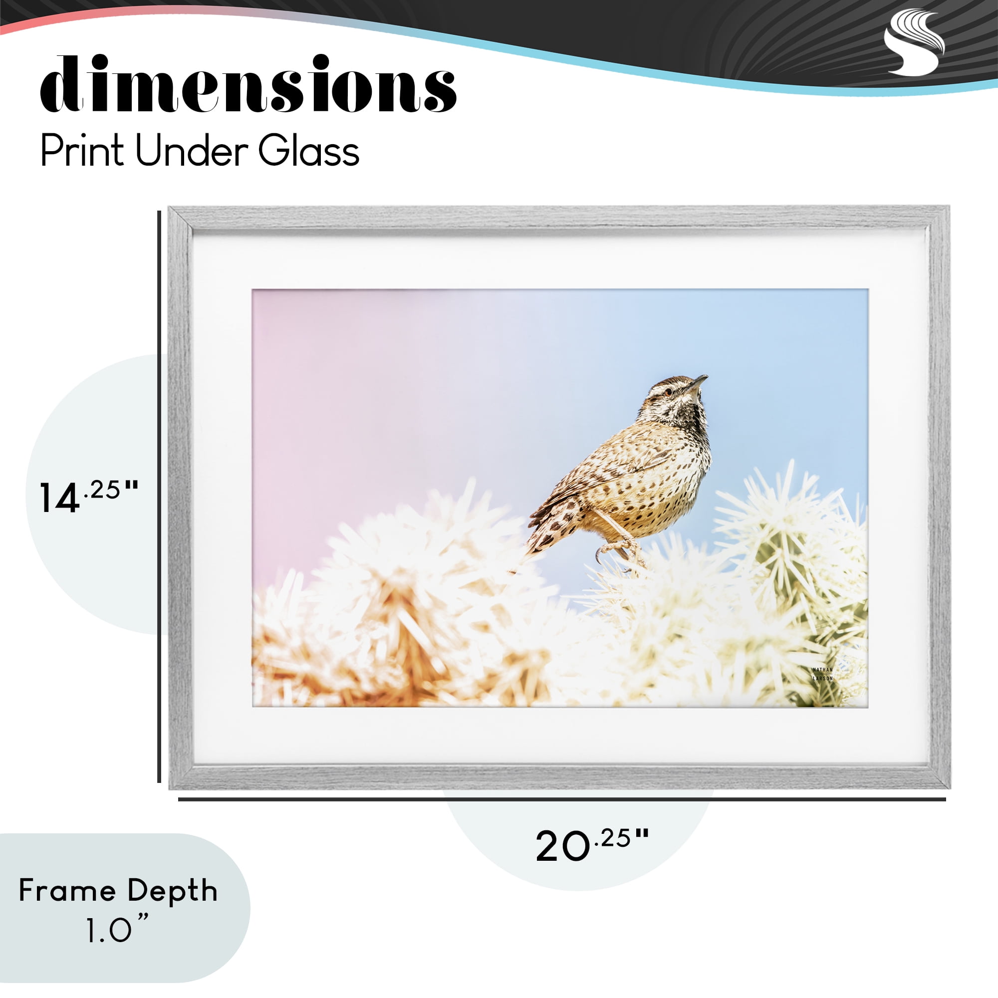 Stupell Industries Desert Song Bird Gray Framed Print Under Glass, design by Nathan Larson
