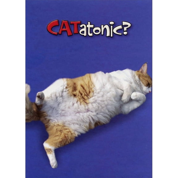 Designer Greetings Catatonic : Sleeping Cat Funny : Humorous Birthday Card