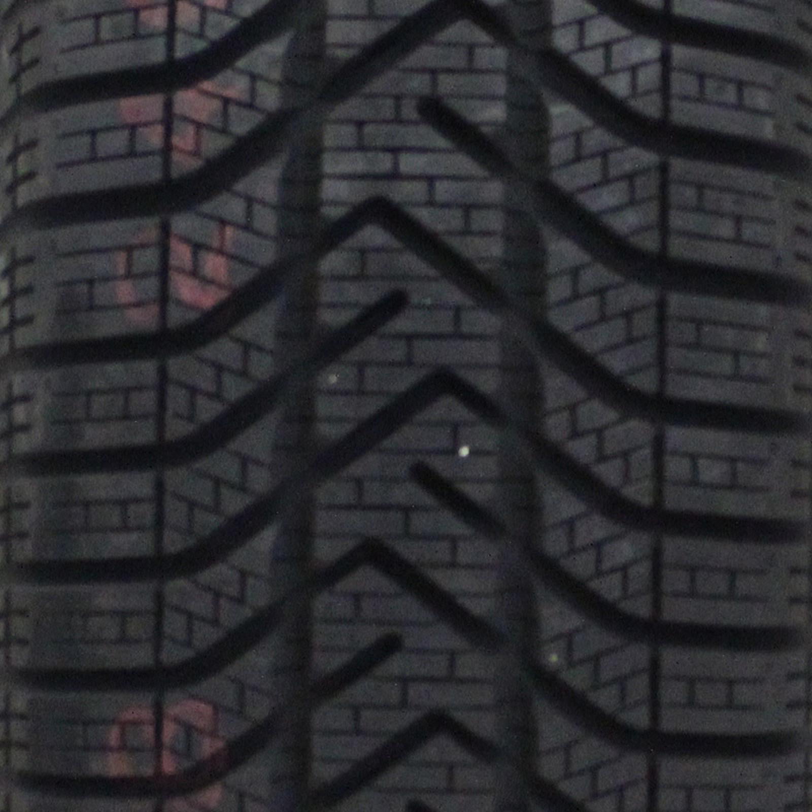 Tire 3 Pirelli 195/50R16 Snowcontrol 88H Winter Serie Passenger W210 XL