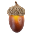 thumbnail image 1 of Glands Artificiels, Simulation Réaliste de Glands pour Décoration de Vase d'Automne, Artisanat Mariage Action de Grâce Noël, 1 of 6