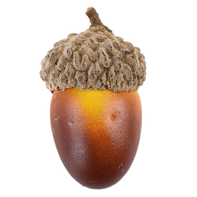 Glands Artificiels, Simulation Réaliste de Glands pour Décoration de Vase d'Automne, Artisanat Mariage Action de Grâce Noël