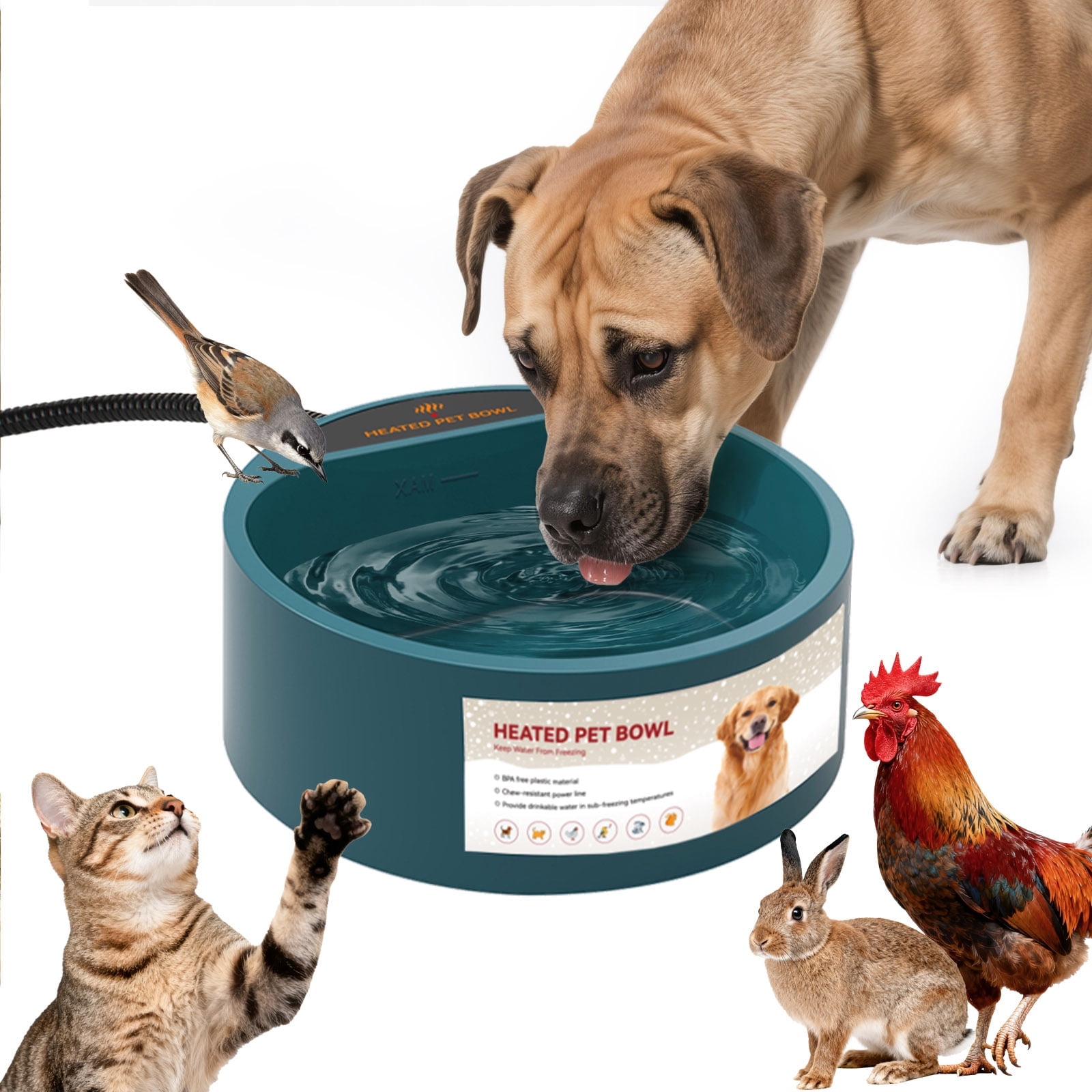NAMSAN Dog Heated Water Bowl Thermal-Bowl for Cat & Dog, 75 fl oz, Green