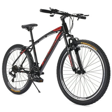 mountain bike 17 frame