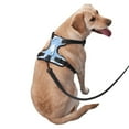 thumbnail image 3 of XMXY No Pull Dog Harness, Sheep Clouds Background Adjustable Reflective Pet Harness with Oxford Vest, Small Size, 3 of 9