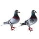 thumbnail image 5 of Palomas de espuma artificial, modelo de paloma de espuma de simulación, figuras de aves realistas 2 uds estilo C, 5 of 9