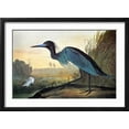 thumbnail image 2 of Audubon: Little Blue Heron, Animals Framed Art Print Wall Art by John James Audubon Sold by Art.Com, 2 of 6
