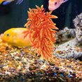 thumbnail image 3 of OULII Simulation Vines Decor Fish Tank Plant Decoration Chocolate Color 1 PCS, 3 of 4