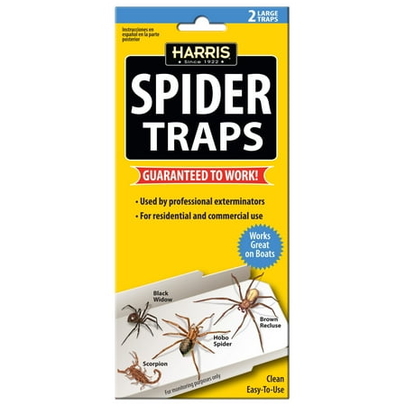 SPIDER TRAP (Pack of 15)