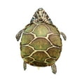 thumbnail image 3 of Almohadas de concha de tortuga Hugo Juguete de peluche Caparazón de tortuga usable 60cm, 3 of 10