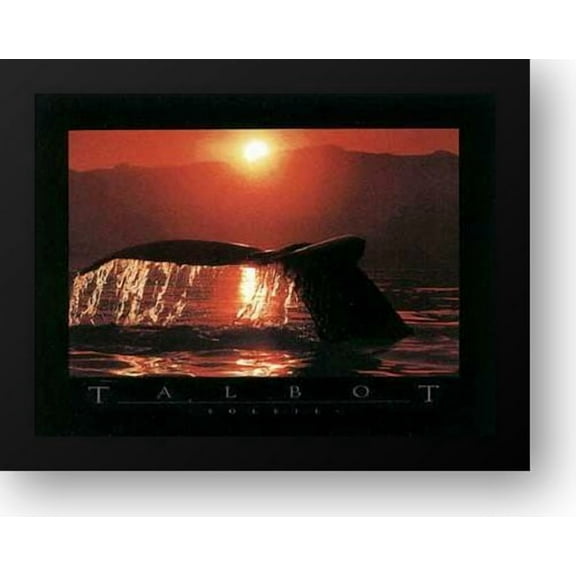 Soleil 28x22 Framed Art Print by Talbot, Bob