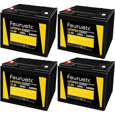 Feuruetc 12V 50Ah Deep Cycle LiFePO4 Battery, 4000  Cycles, Maintenance-Free Battery， for Camping， Fish Finder, Scooter, Security System, Ride on Toys，UPS etc Rechargeable Lit (12V 50A - 4packs)