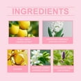 Most Popular Sweet Summer Solid Perfume Series Fresh And Elegant