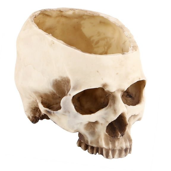 Skull Flowerpot, Container Plant Pot Table Decor for Photography Club Bar